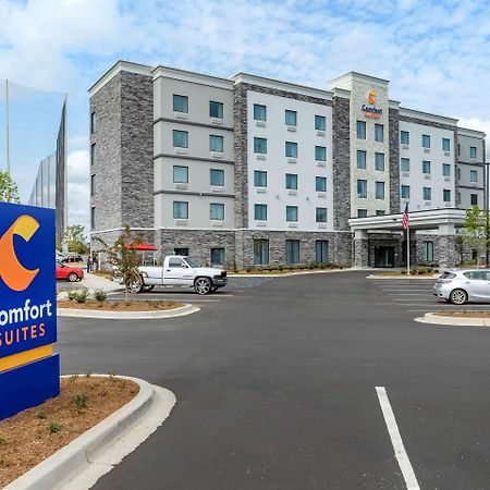 Comfort Suites Greenville Airport Екстер'єр фото